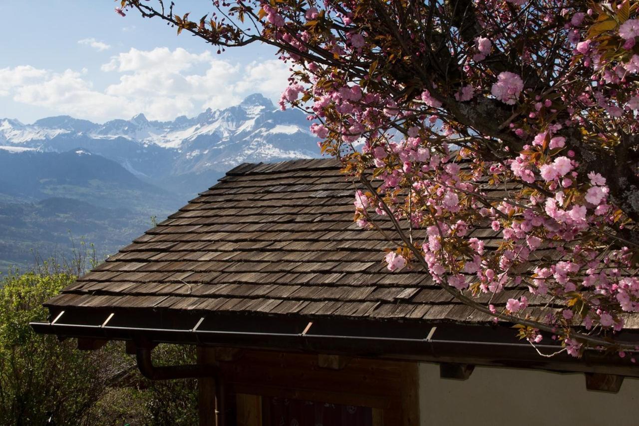 Chalet Cosy Proche Tramway Du Mont-Blanc Et Centre Saint-Gervais-les-Bains Εξωτερικό φωτογραφία