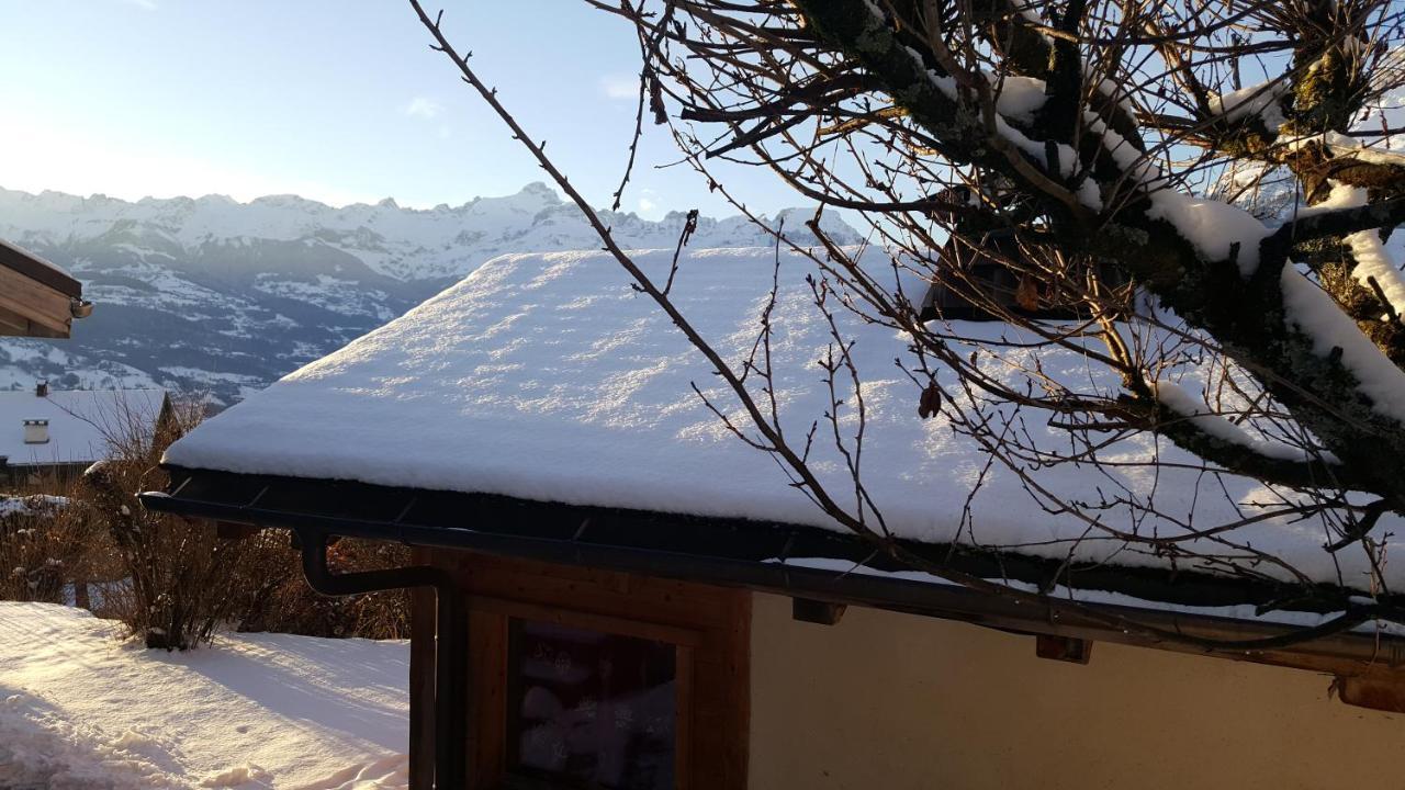 Chalet Cosy Proche Tramway Du Mont-Blanc Et Centre Saint-Gervais-les-Bains Εξωτερικό φωτογραφία